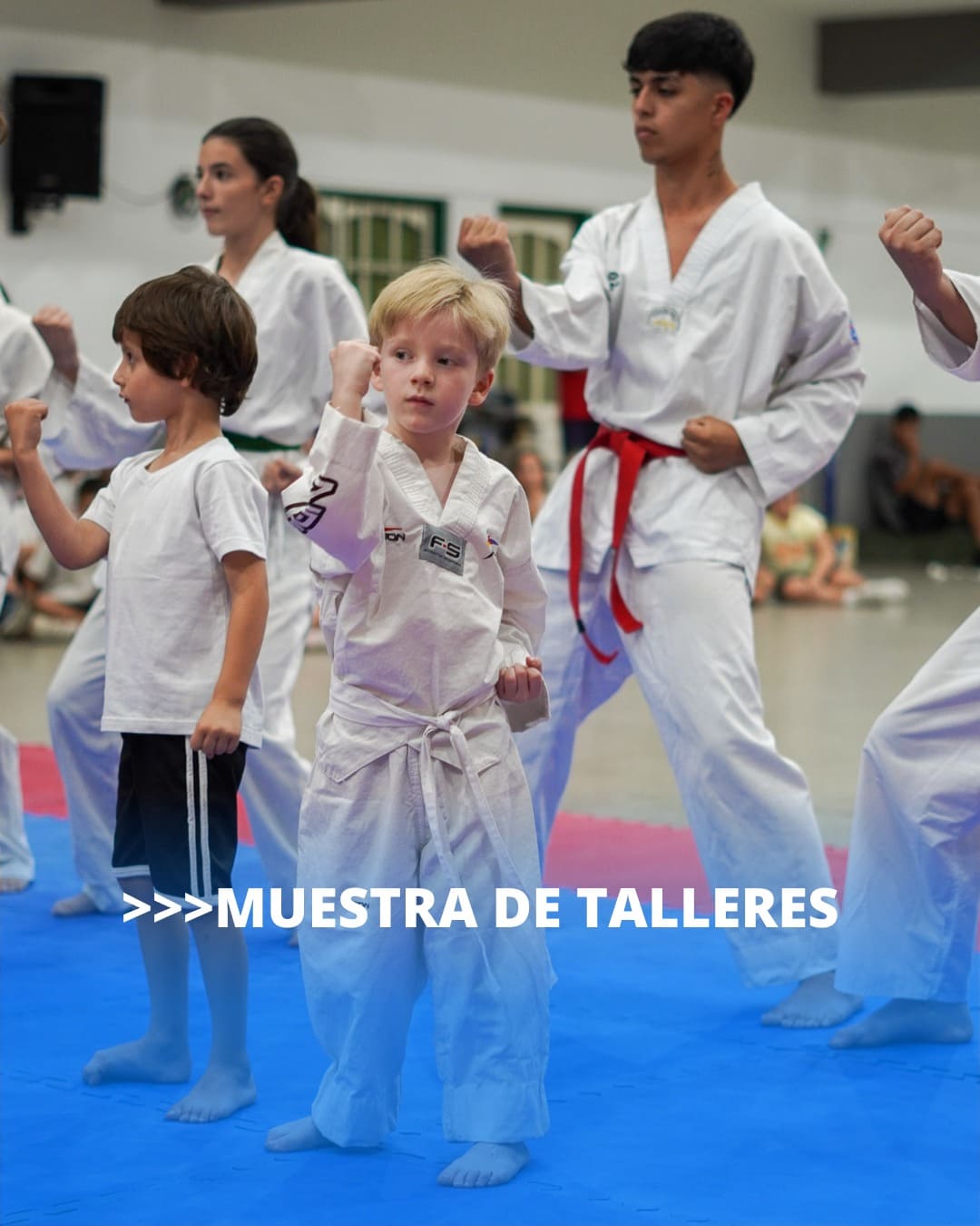 Escuela de Taekwondo