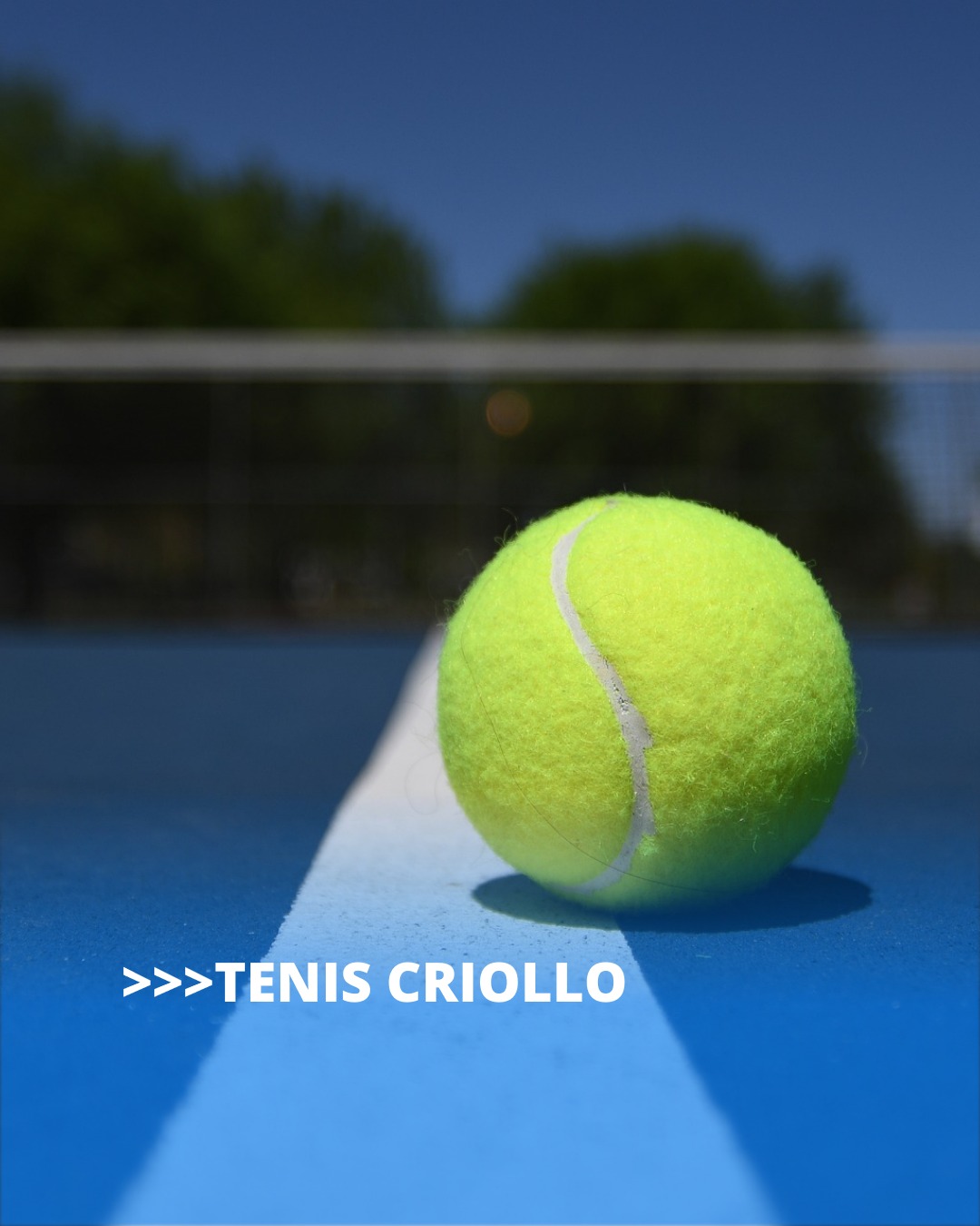 Clases de Tenis Criollo: Deporte Tradicional para Todos en el Centro Asturiano